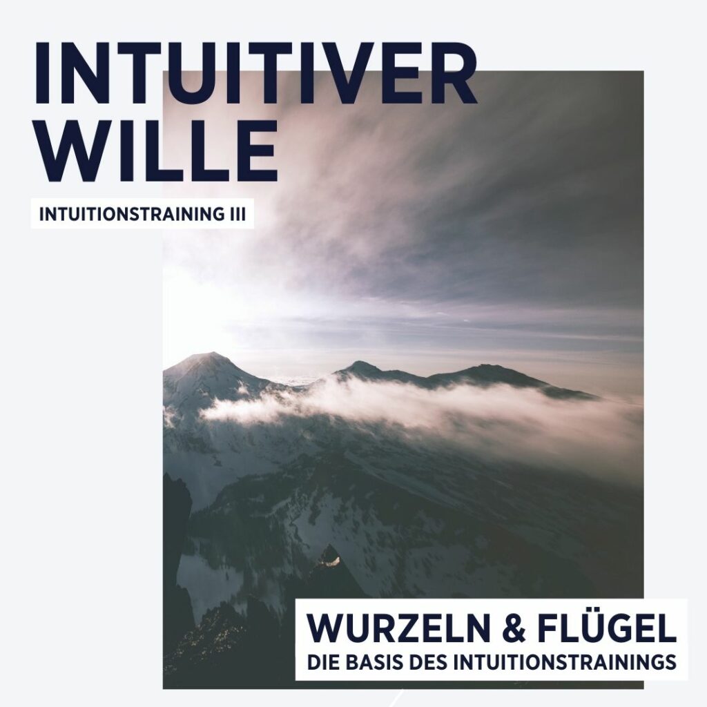 Intuitiver Wille